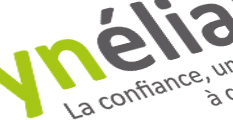 Site internet de SYNELIAN